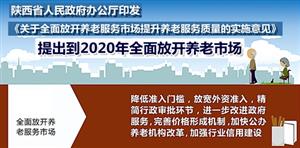 陜西省人民政府辦公廳關(guān)于全面放開養(yǎng)老服務(wù)市場提升養(yǎng)老服務(wù)質(zhì)量的實(shí)施意見