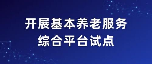 民政部 國家數(shù)據(jù)局關(guān)于組織開展基本養(yǎng)老服務(wù)綜合平臺試點的通知